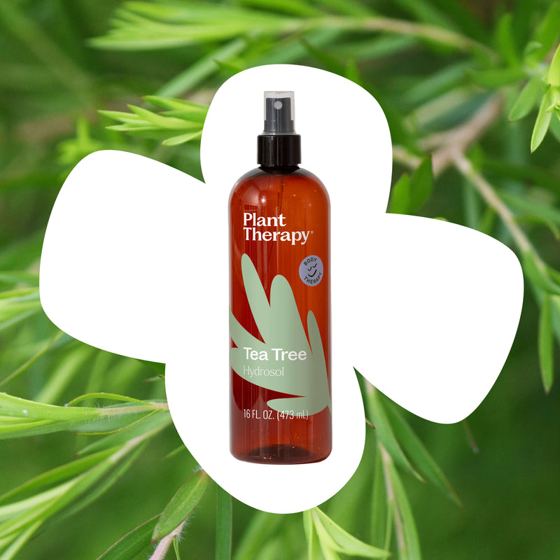 Plant Therapy Tea Tree Hydrosol Body Care