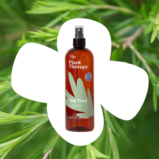 Plant Therapy Tea Tree Hydrosol Body Care
