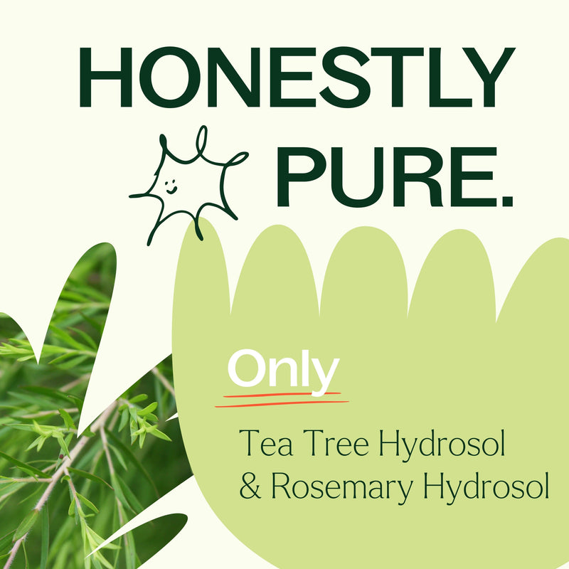 Plant Therapy Tea Tree & Rosemary Facial Mist Hair & Skin Care
