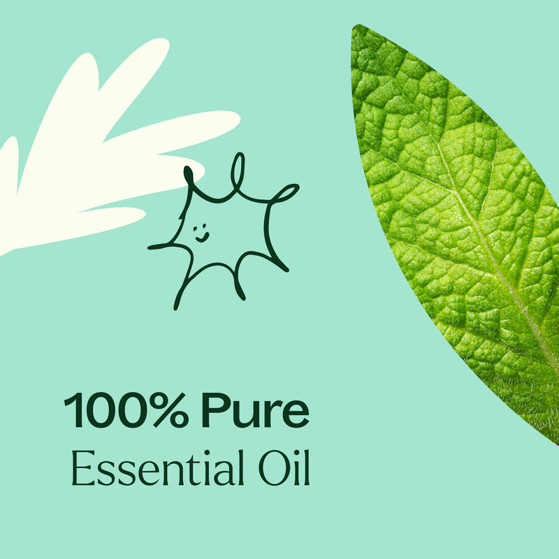 Plant Therapy Tension Relief Essential Oil Blend Essential Oil Powder Blue 10 mL,30 mL