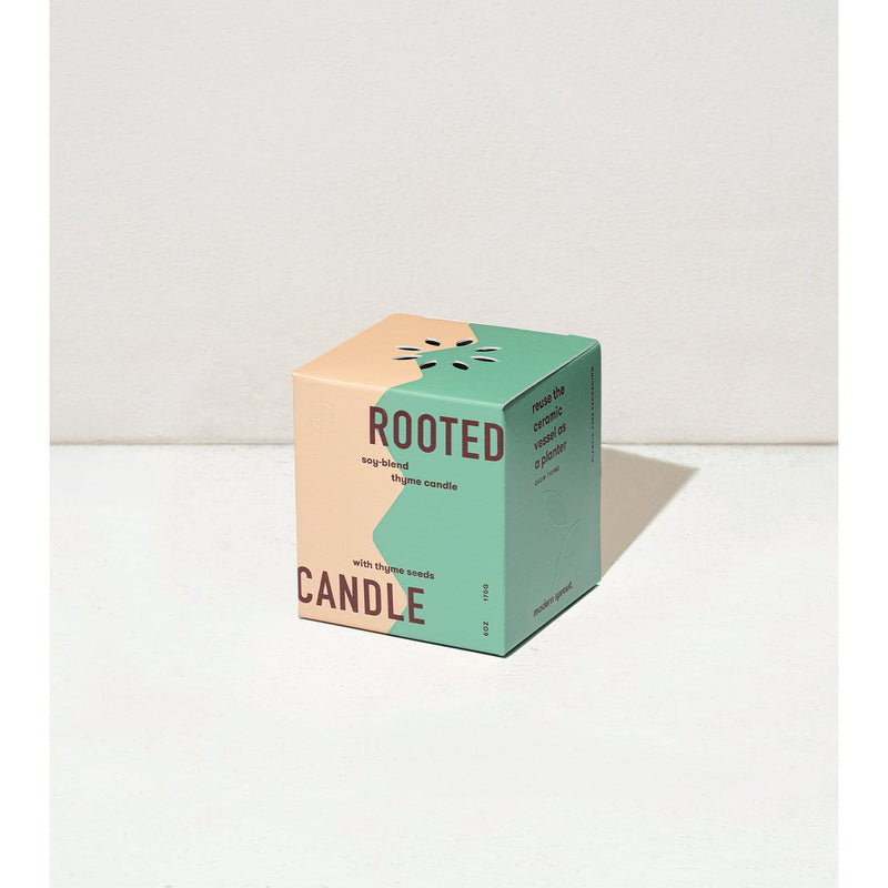 Modern Sprout Rooted Candles Candle Beige Rosemary & Cucumber 1pk,Thyme & Tonka Bean 1pk,Lavender & Cedarwood 1pk,Basil & Jasmine 1pk,Mixed 3pk