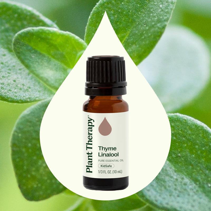 Plant Therapy Thyme Linalool Essential Oil Essential Oil