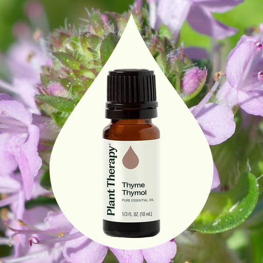 Plant Therapy Thyme Thymol Essential Oil Essential Oil