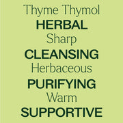 Plant Therapy Thyme Thymol Essential Oil Essential Oil