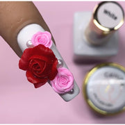 Red Iguana LLC 3D Silicone Mold Nail Art