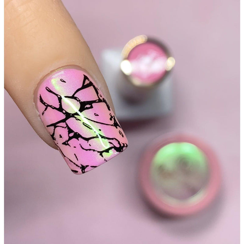 Red Iguana LLC 2-in-1 Stamping + Paint Gel Stamping