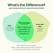 Plant Therapy Organic Lemon Balm Herbal Tincture Supplement