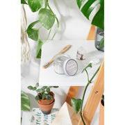 Butter Me Up Organics Tooth Powder / Toothpaste / Organic Tooth Powder / Organic Tooth Paste/ Organic Toothpaste / Clay Tooth Paste / Remineralizing Tooth Powder Teeth