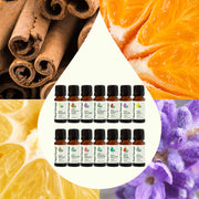 Plant Therapy Top 14 Organic Singles Set Essential Oil