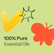 Plant Therapy Top 14 Organic Singles Set Essential Oil