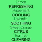 Plant Therapy Top 14 Organic Singles Set Essential Oil