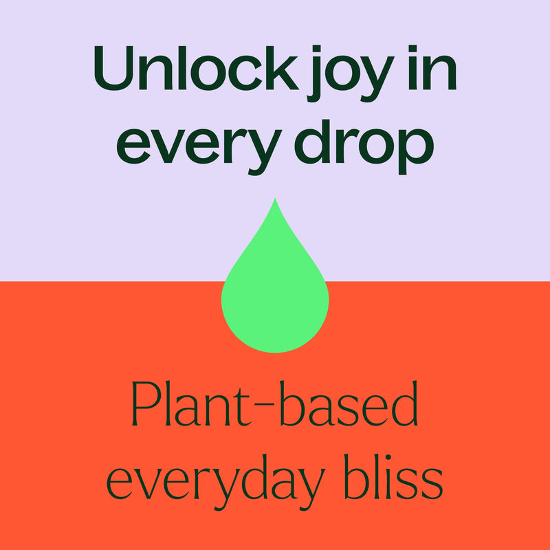 Plant Therapy Top 14 Organic Singles Set Essential Oil