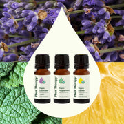 Plant Therapy Top 3 Organic Singles Set Essential Oil Seashell