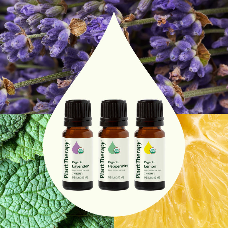 Plant Therapy Top 3 Organic Singles Set Essential Oil Seashell