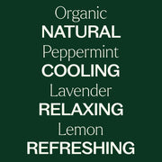 Plant Therapy Top 3 Organic Singles Set Essential Oil Dark Slate Gray
