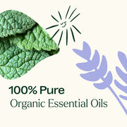 Plant Therapy Top 3 Organic Singles Set Essential Oil White Smoke