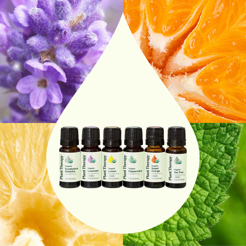 Plant Therapy Top 6 Organic Singles Essential Oil Set Essential Oil