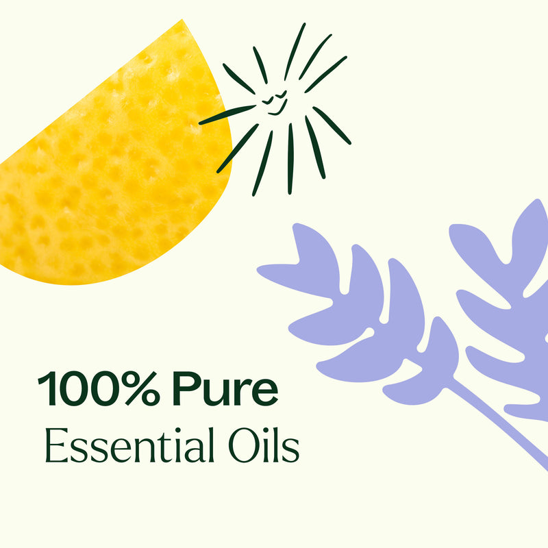 Plant Therapy Top 6 Organic Singles Essential Oil Set Essential Oil