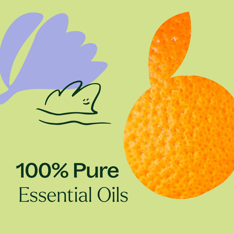 Plant Therapy Tranquil Essential Oil Blend Essential Oil