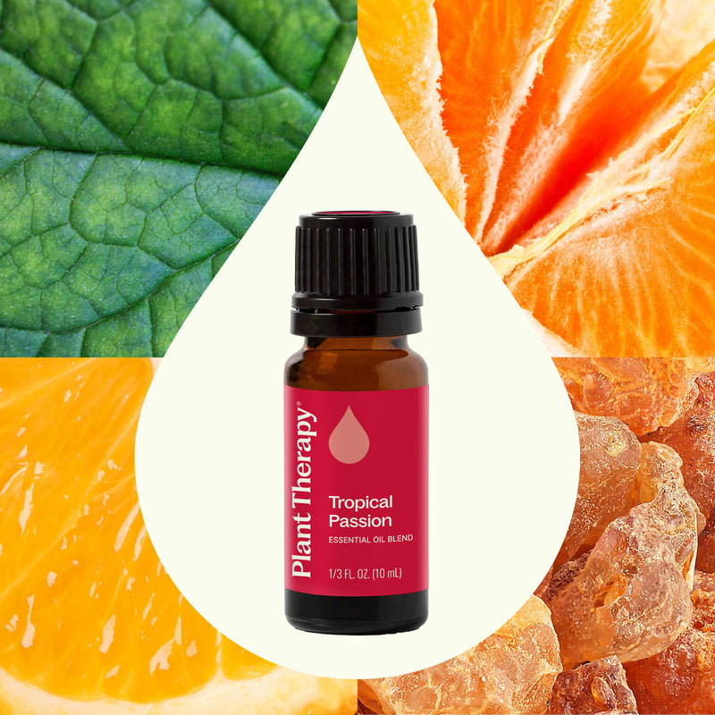 Plant Therapy Tropical Passion Essential Oil Blend Essential Oil