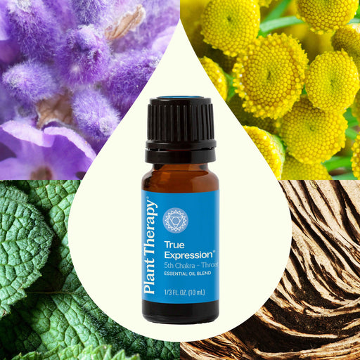 Plant Therapy True Expression (Throat Chakra) Essential Oil Essential Oil
