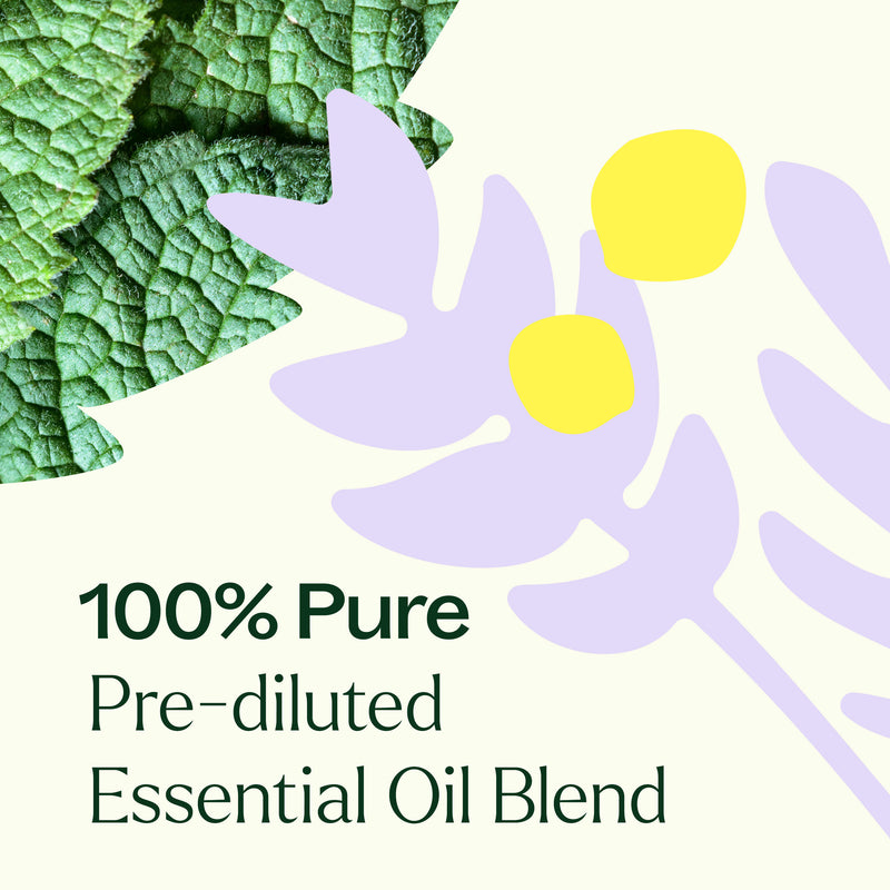 Plant Therapy True Expression (Throat Chakra) Essential Oil Pre-Diluted Roll-On Essential Oil