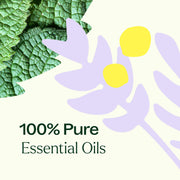 Plant Therapy True Expression (Throat Chakra) Essential Oil Essential Oil