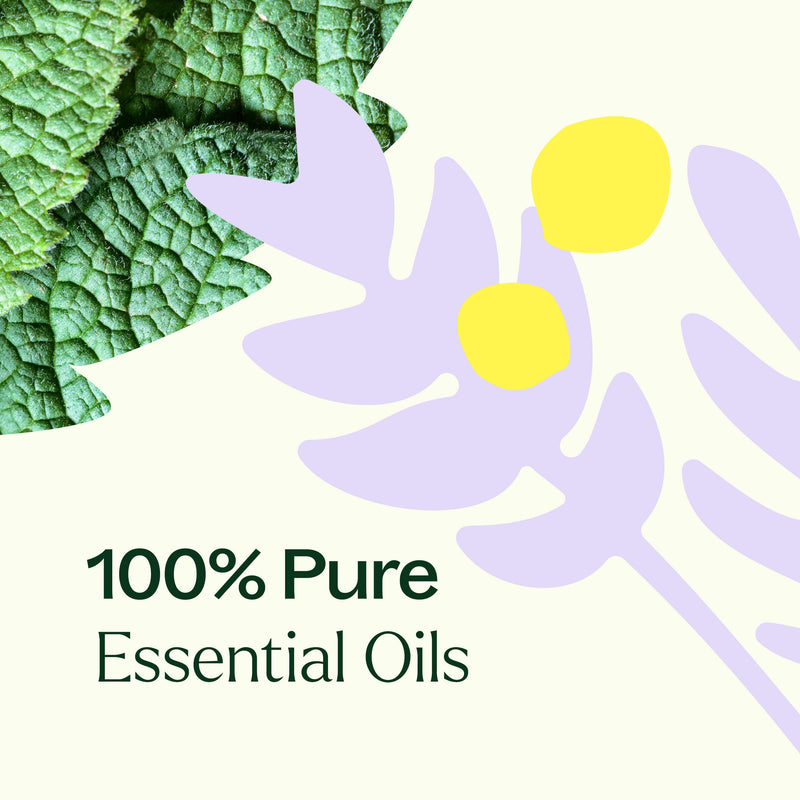 Plant Therapy True Expression (Throat Chakra) Essential Oil Essential Oil