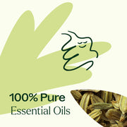 Plant Therapy Tummy Aid Essential Oil Blend Essential Oil