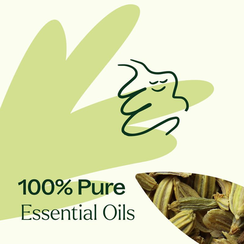 Plant Therapy Tummy Aid Essential Oil Blend Essential Oil