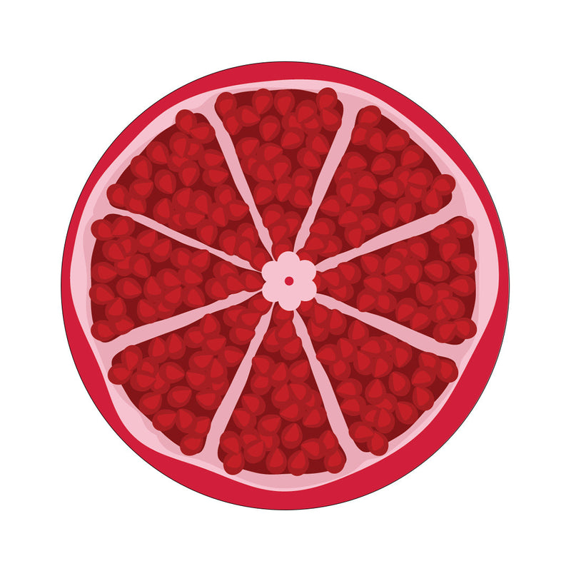 Peelz CF Holiday Pomegranate twiist™ Automated Insulin Delivery System Stickers - Pump Peelz Peelz/Stickers