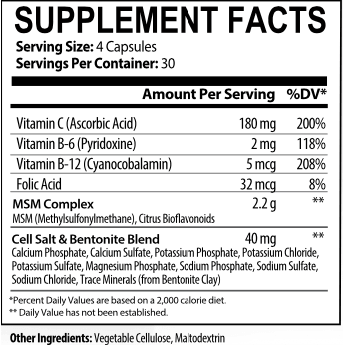 Energi Nutrition Liquid MSM Supplement