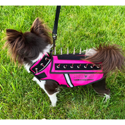 CoyoteVest HawkVest Vest