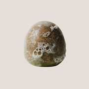 Conscia Fortify Shampoo Shampoo