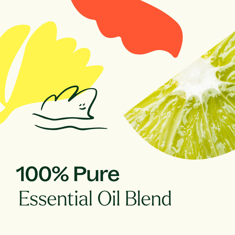 Plant Therapy Unwind Essential Oil Blend Essential Oil