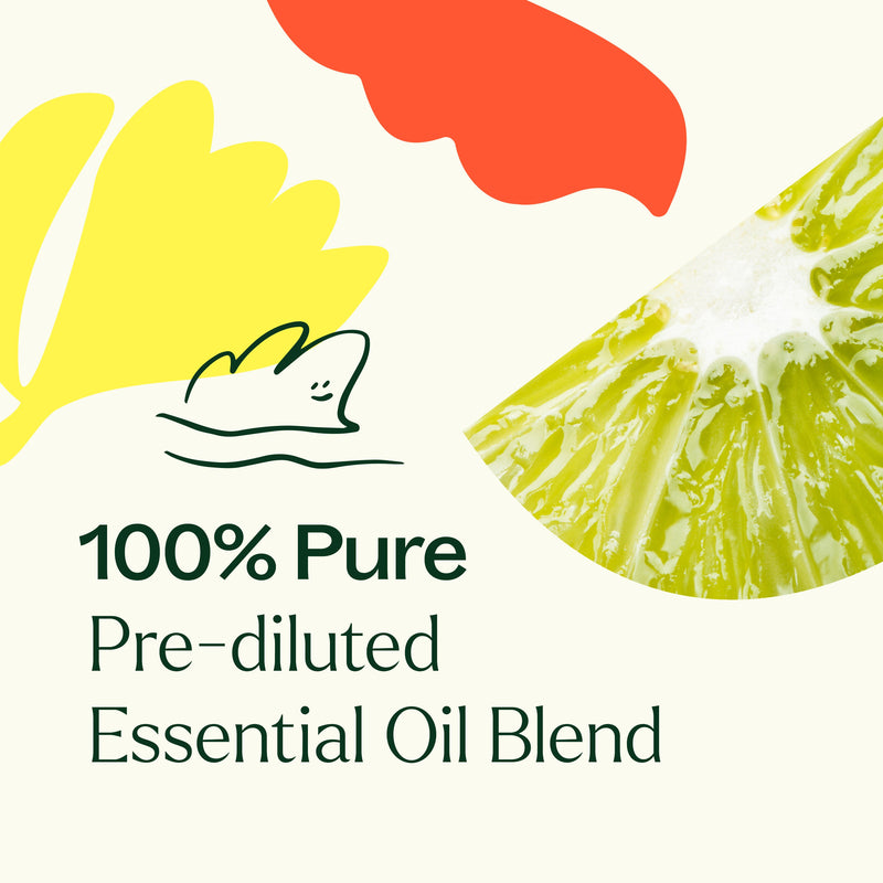 Plant Therapy Unwind Essential Oil Blend Essential Oil