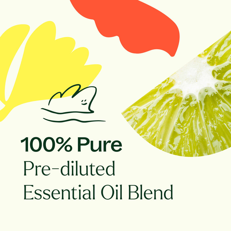 Plant Therapy Unwind Pre-Diluted Essential Oil Roll-On Essential Oil