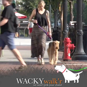 WACKYstore Urban Walk'r - Shorter No Pull Leash