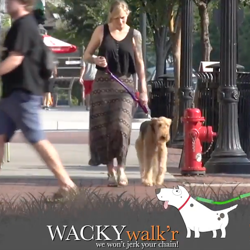 WACKYstore Urban Walk'r - Shorter No Pull Leash