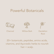 Conscia Detox Shampoo Shampoo