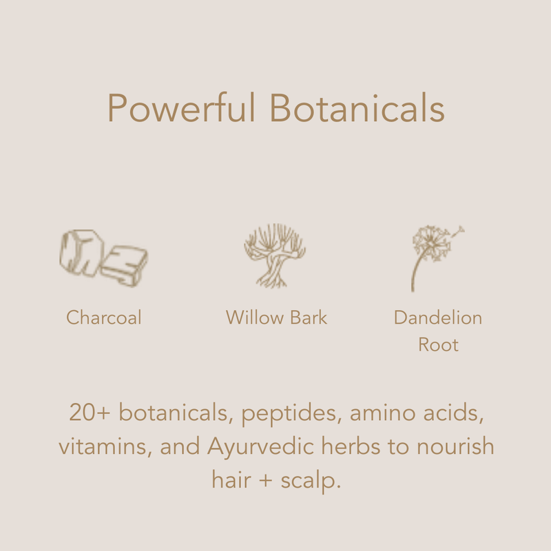 Conscia Detox Shampoo Shampoo