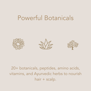 Conscia Fortify Conditioner Conditioner