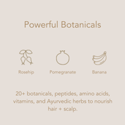 Conscia Hydrate Shampoo Shampoo