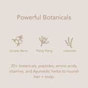 Conscia Heal Shampoo Shampoo