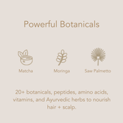 Conscia Fortify Shampoo Shampoo