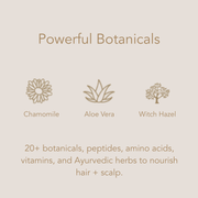 Conscia Sensitive Shampoo Shampoo