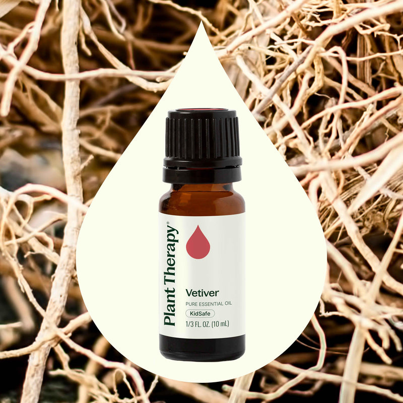 Plant Therapy Vetiver Essential Oil Essential Oil
