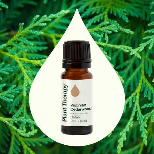 Plant Therapy Virginian Cedarwood Essential Oil Essential Oil