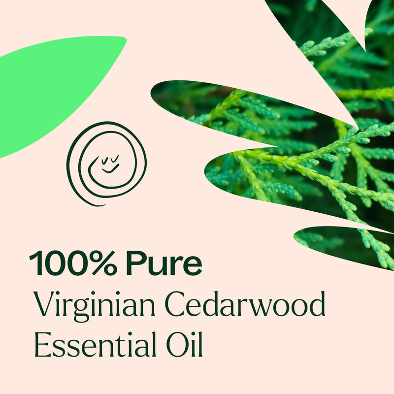 Plant Therapy Virginian Cedarwood Essential Oil Essential Oil