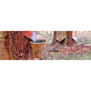 Bio Jouvance Paris Consumer Single Pot Wax Warmer Wholesale